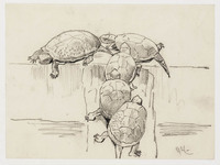 KT 1012
<br/>
Schildpadden
<br/>
<em>Comte, Adolf le (1850 - 1921)</em>